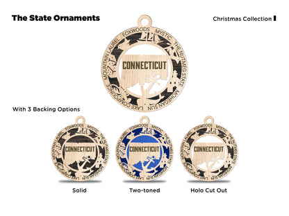 All 50 States 3D Ornament